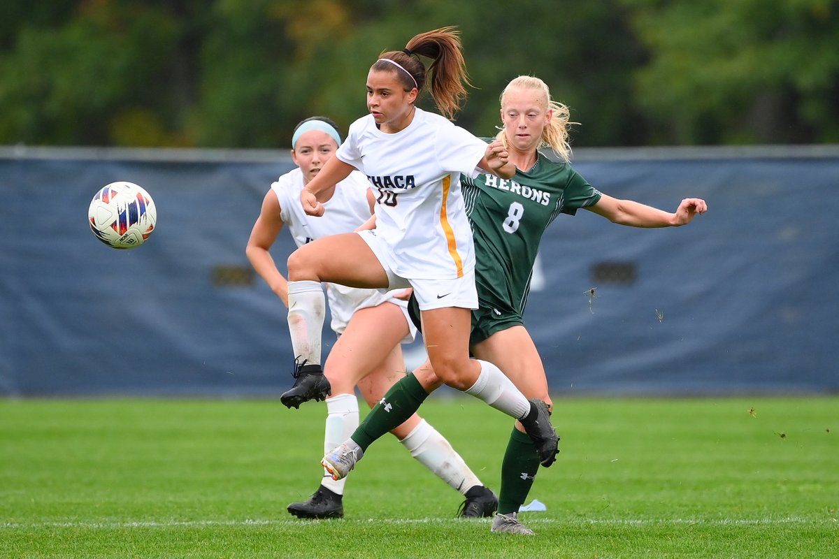Firstteamphoto's tweet image. Bombers Win!! ⚽️
@ithaca_wsoccer upsets No. 11 @HeronSoccer in a physical battle on Carp Wood Field in #Ithaca 

📷: Me for @BomberSports