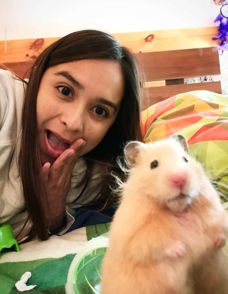 cataruzt's tweet photo. Seitan ya cruzó el arcoiris😔 pero esta es la mejor foto de la vida, un pequeño homenaje para el gordo 🐹 #MiMascotaRata https://t.co/ou7SMY5m1F