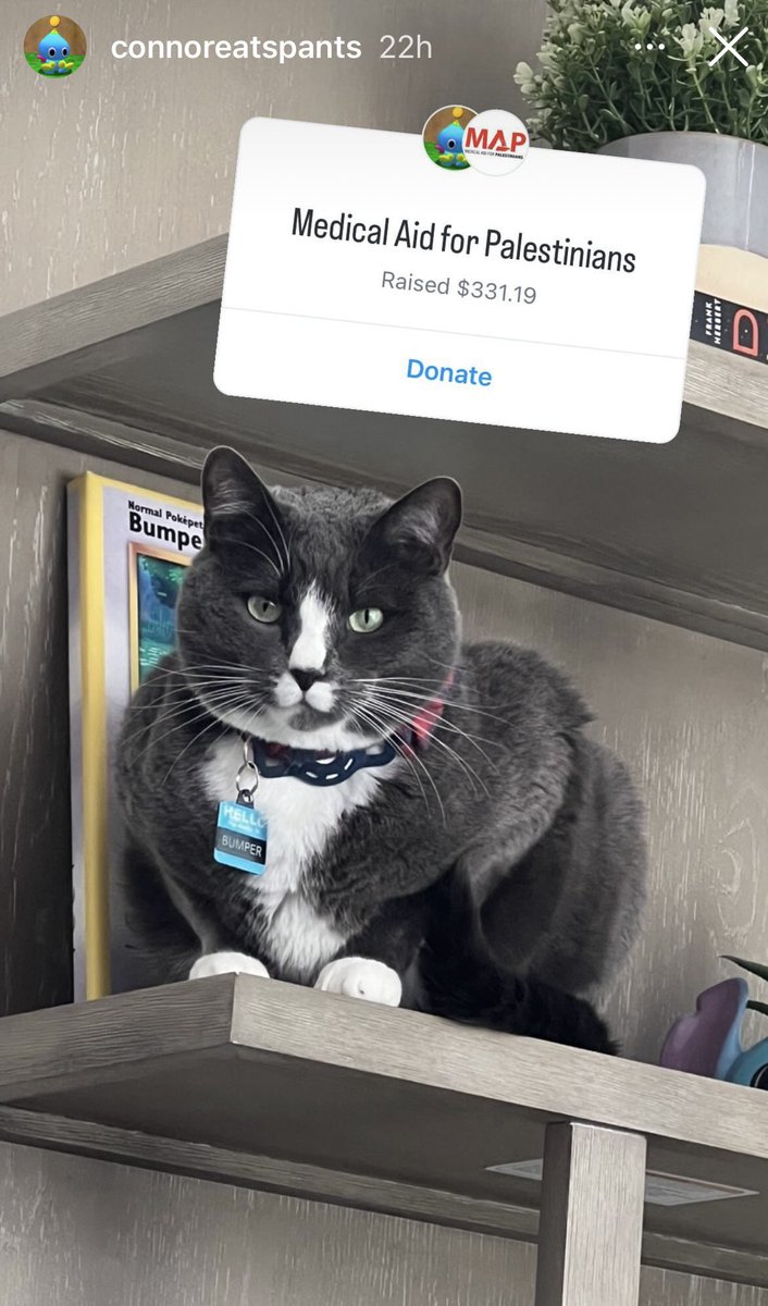 StreamerAwards's tweet photo. STREAMER PET OF THE WEEK! 

Bumper!
@ConnorEatsPants https://t.co/aeVDGcf8io