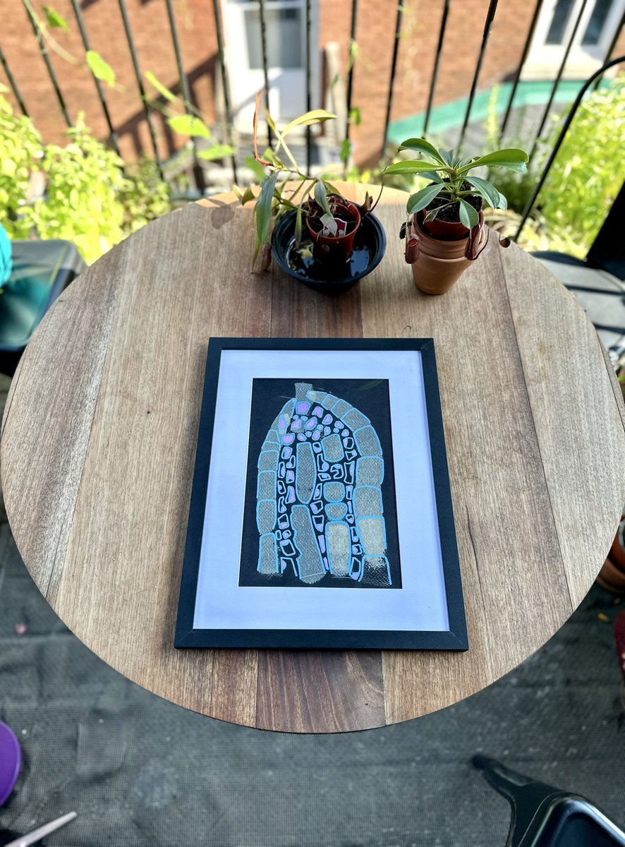 LePtitLoup's tweet photo. Hello, No. 13 from the Summer Porch series, acrylic on Fontaine 140lbs cold-pressed black paper in a 12x16in frame.
#ottawaartist #ottawart #ottart #ottarts #artgallerytoronto #artgallerytokyo #artcontemporaine #abstraktart #canadianartist🇨🇦 #現代美術#613art #613artist
#arte https://t.co/Ln62imWPUM