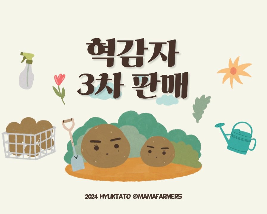 nipiollsajil's tweet photo. 🧑🏻‍🌾 #혁감자 3차 판매 👛

🥔  #follow + #rt 2분께
　    원하는 혁감자(택 1)를 보내 드립니다!
🥔 판매 기간
　   ㄴ 2024. 10. 03 오전 11:03 ~ 10.16 오후 11:03

🎁 선착 10분에게 B급 알혁감자를 선물로 보내 드립니다!

📮 자세한 사���은 폼을 확인해 주세요 💭
🔗 https://t.co/jpAS2Qf64B https://t.co/JDwThNRHnG