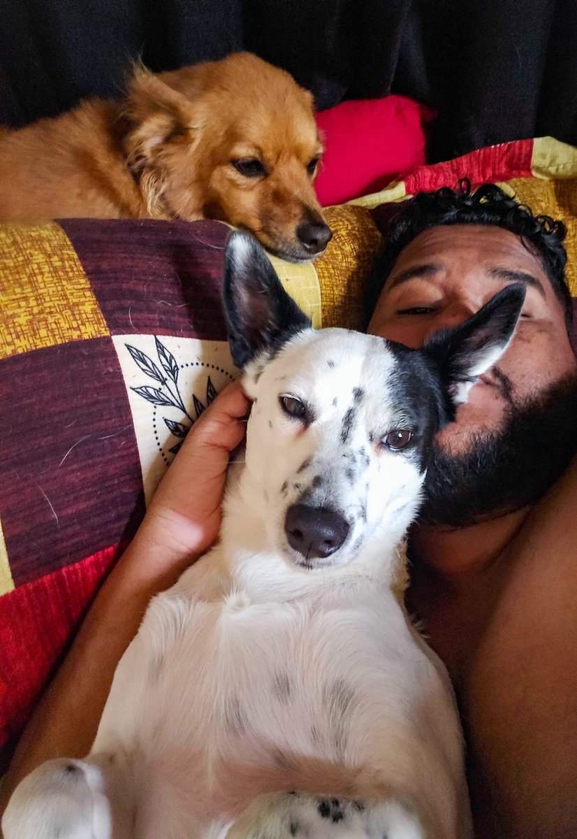 Lawrence J. Arjoon tweet media