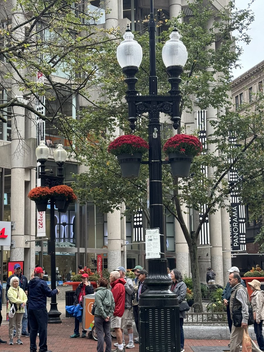 junebug06's tweet image. Autumn in New England is unrivaled. #Boston, always a pleasure.