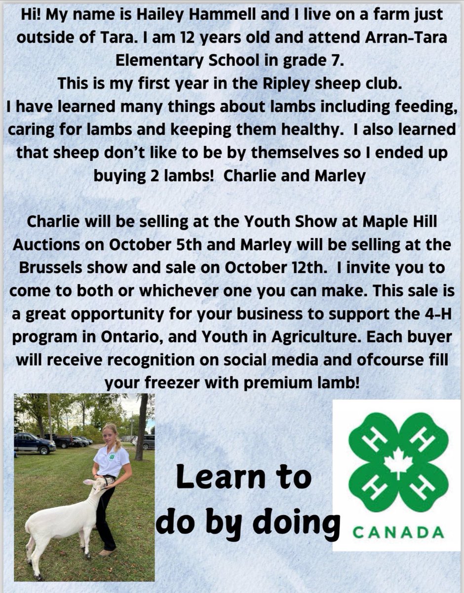 Amanda Hammell tweet media