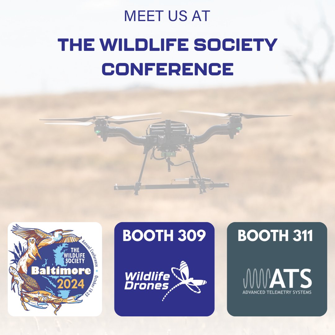 WildlifeDrones1's tweet image. Wildlife Drones is heading to the @wildlifesociety Conference! We’ll be presenting on Monday, October 21st at 9:45 AM and our booth is next to @ATSTelemetry
Who else is attending? 
#TWS2024 #DroneTelemetry #radiotelemetry #radiotracking #WildlifeDrones #BatResearch