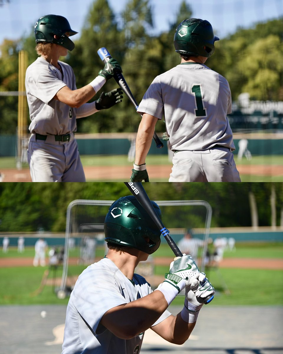 Michigan State Baseball tweet media