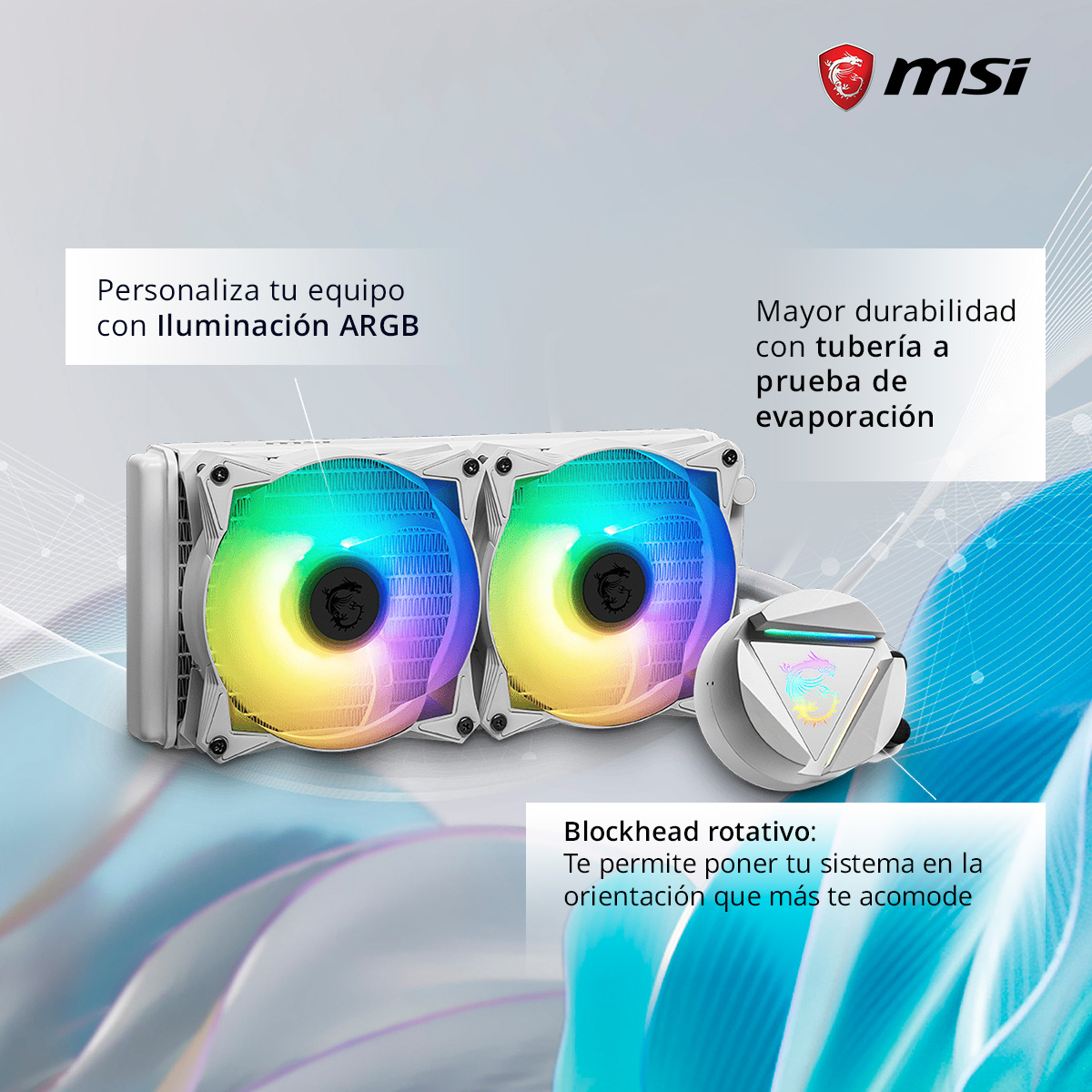 Importación Digital tweet media