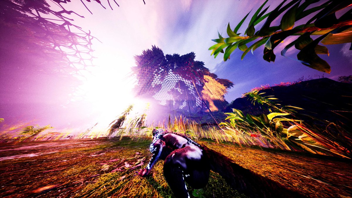 bwallsstudio's tweet photo. Did you try doing some #virtualphotography in AWAY: The Survival Series? 📸
So many settings and possible adjustments! ✨I spent hours fine-tuning my pictures! 🤩
Have you dabbled in photography? What are your favourite subjects?
#awayseries https://t.co/JunIY5BUPb
