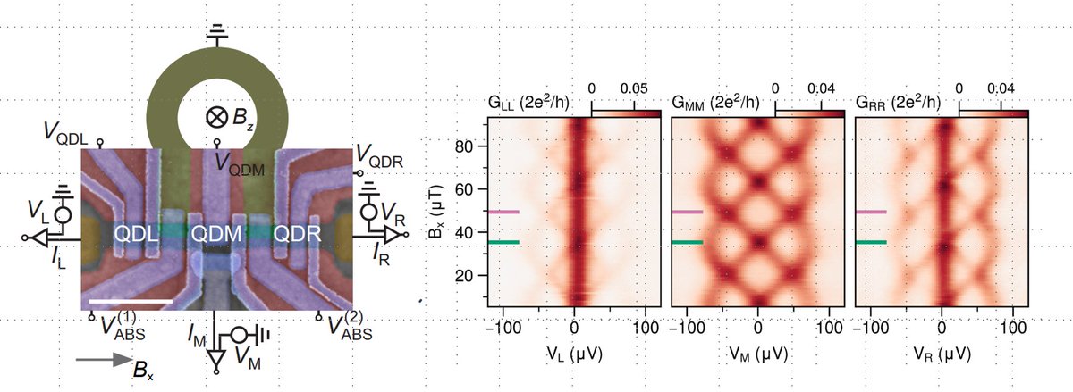 Our work on a three site Kitaev chain. Interesting to see how we can begin to distinguish between the edge and bulk properties of a system with Majoranas.
arxiv.org/abs/2410.00658