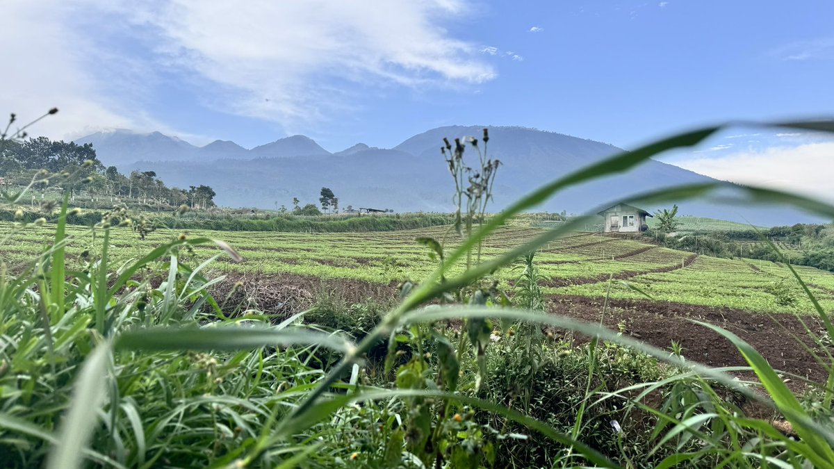 sarcastic mouth (@quakerstrychnos) on Twitter photo 