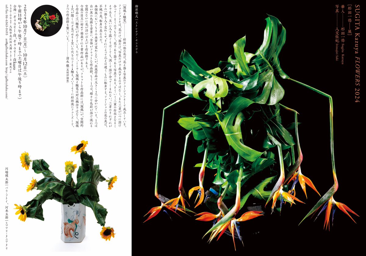 来週7日から大阪のギャラリー白・ギャラリー白kuroで「SUGITA Kazuya