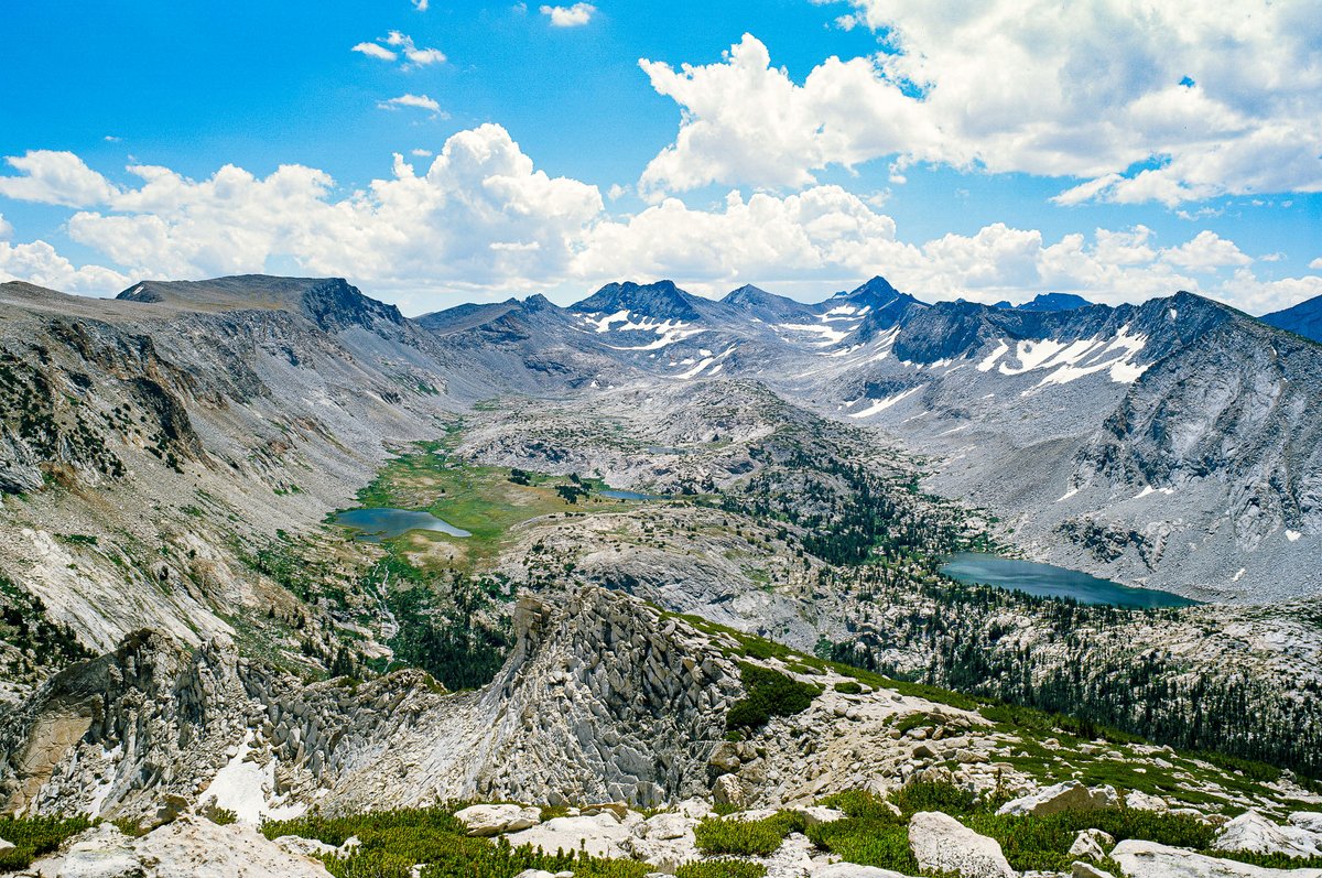 Will Wyckoff tweet media