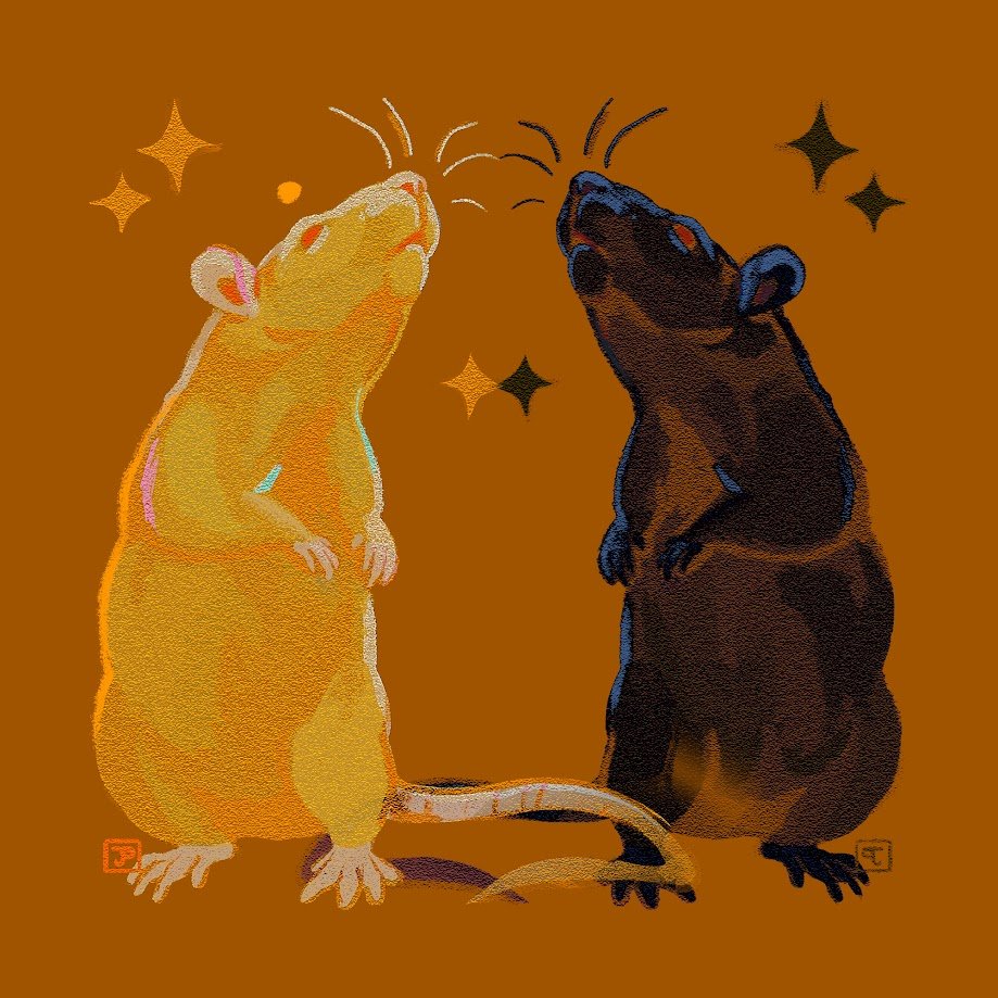 pixeIdeer's tweet image. Rattober 2 - Rare Rat ✨
#rattober #rattober2024 #beansrattober