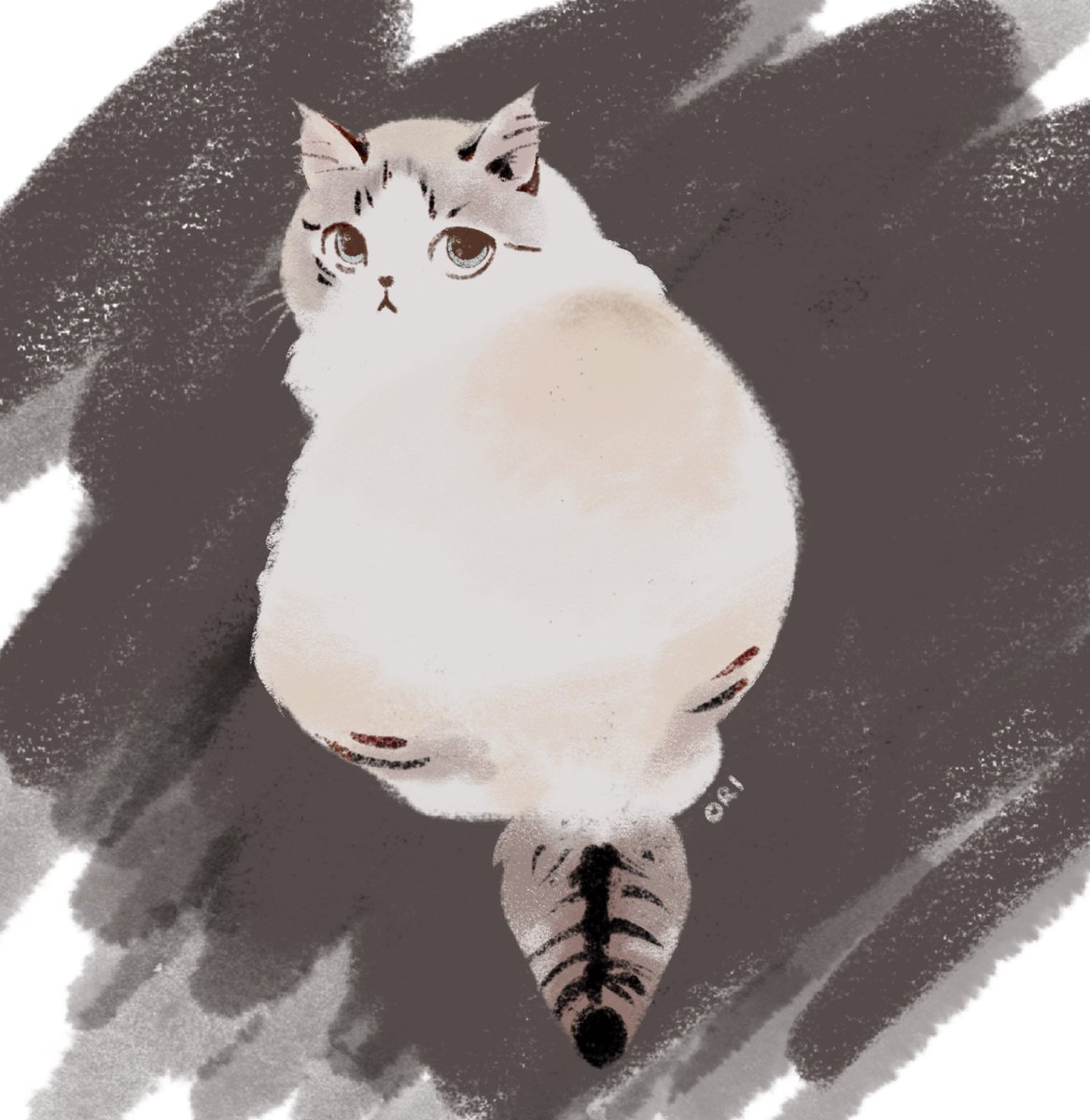 Chubby Ori on 10/1/24 at 13lbs.