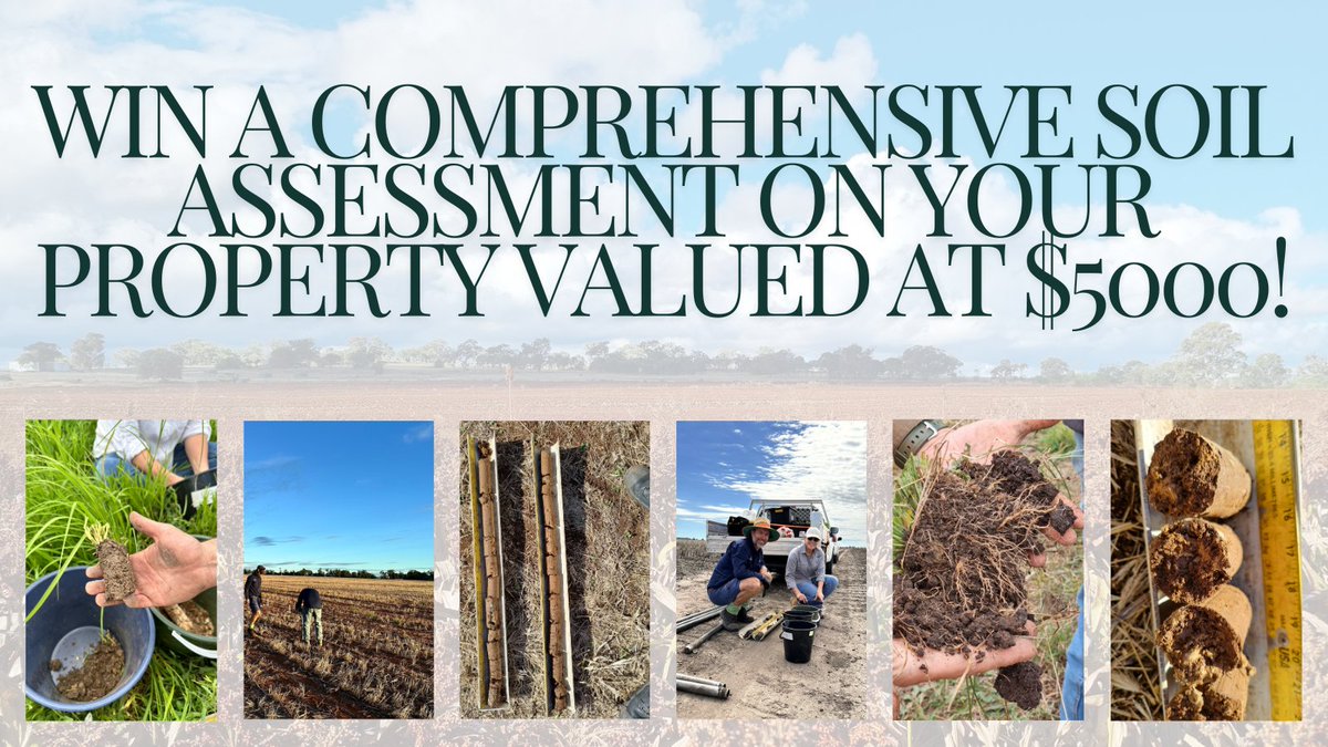 sqnnswhub's tweet photo. Are you a primary producer who owns, manages, or cares for agricultural land in southern QLD or northern NSW? 

WIN a comprehensive soil assessment on your property! 

View Ts &amp; Cs https://t.co/8BzqNUdE2h
@DAFFgov 
#NaturalHeritageTrust
#FutureDroughtFund
#WorldSoilDay https://t.co/PYgE0EfLdj