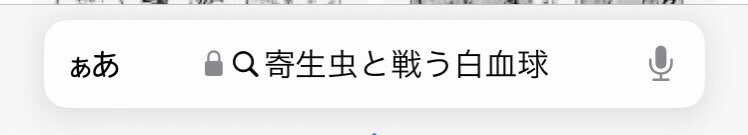 Sachi_K_English's tweet image. 夜、なかなか寝つけなくてこれを確かめていた。
□ eosinophil(s) / ìousínəfìl, ìːəusínəfìl/ (n.)好酸球
: a variety of white blood cells that combat parasites
※ 寝る前に息子と「ナメクジって食べたら◯ぬよね」という話をしていた。
#理系語彙　#sciencevocabulary