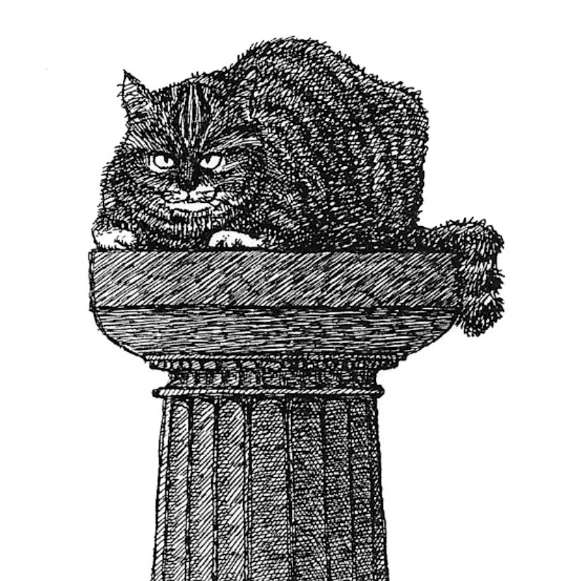 ArtofRob's tweet photo. “Hunky Doric”
dip pen & ink
#Cats #TabbyCats #DoricColumns #FatCats https://t.co/Smrr150MLF