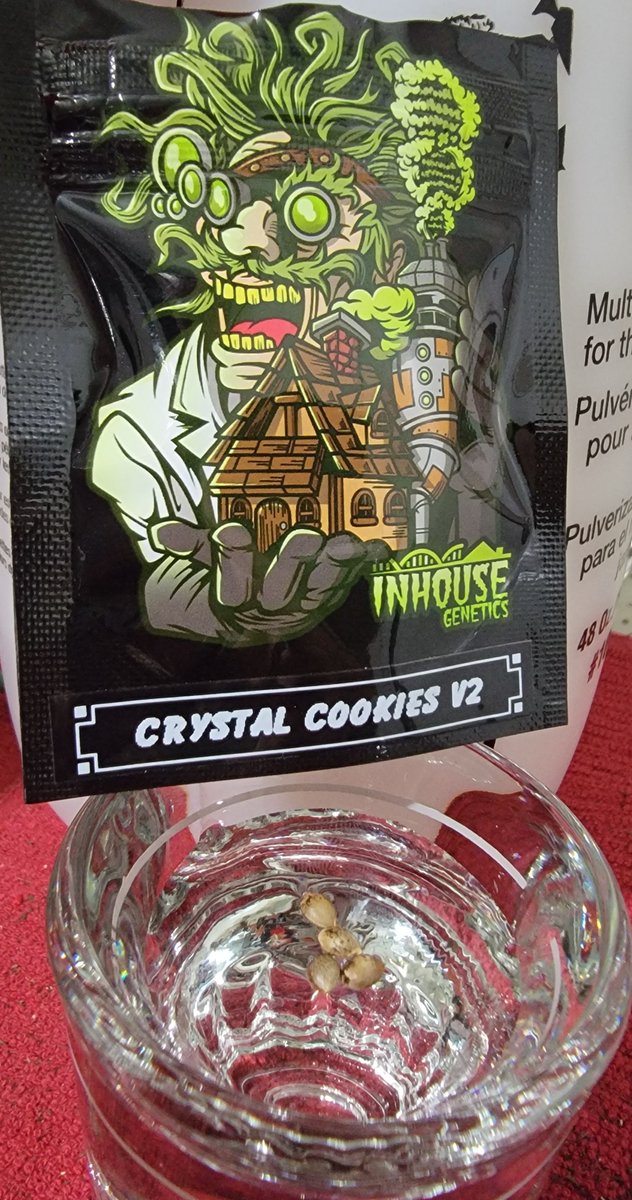 AlienFogMachine's tweet photo. I may have a 3x3 ready in 5-6 weeks so let's get 💦wet💦 @InhouseGenetics #crystalcookiesV2 (gsc x platinum) getting some hot #floattech action. I'll be topping and training just to be safe but I definitely think I am starting these 2 weeks too early. Gonna be fun.
#growyourown https://t.co/FwPw3u2WgK