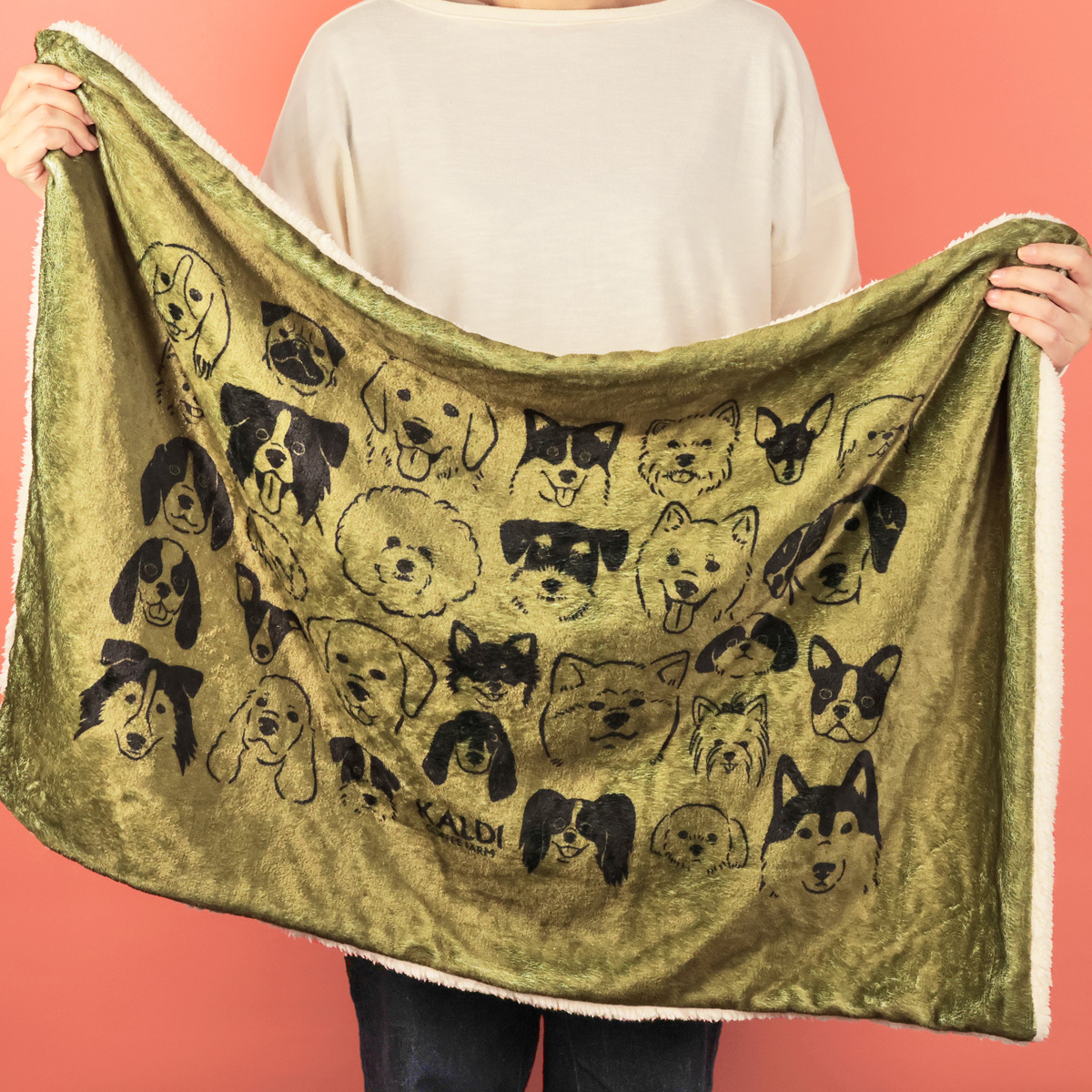 新品抜き取り無し★いぬの日おさんぽバッグ＆ポーチ＆ブランケットプレミアムセット 犬好きなら見逃せない！カルディ「いぬの日おさんぽバッグ」が