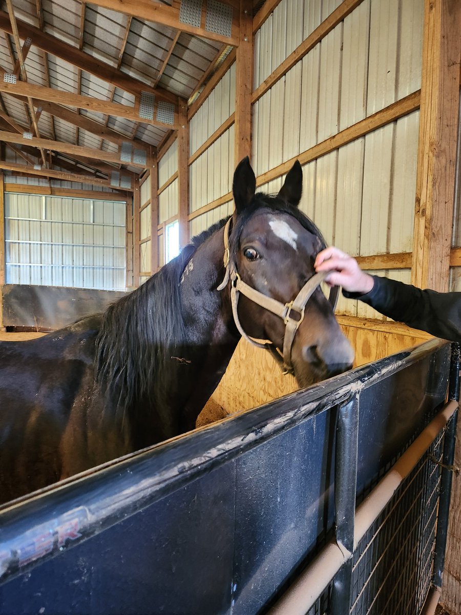 roaringgoodtime's tweet image. Yankee Cruiser!

youtu.be/5crejiUtqME?si…