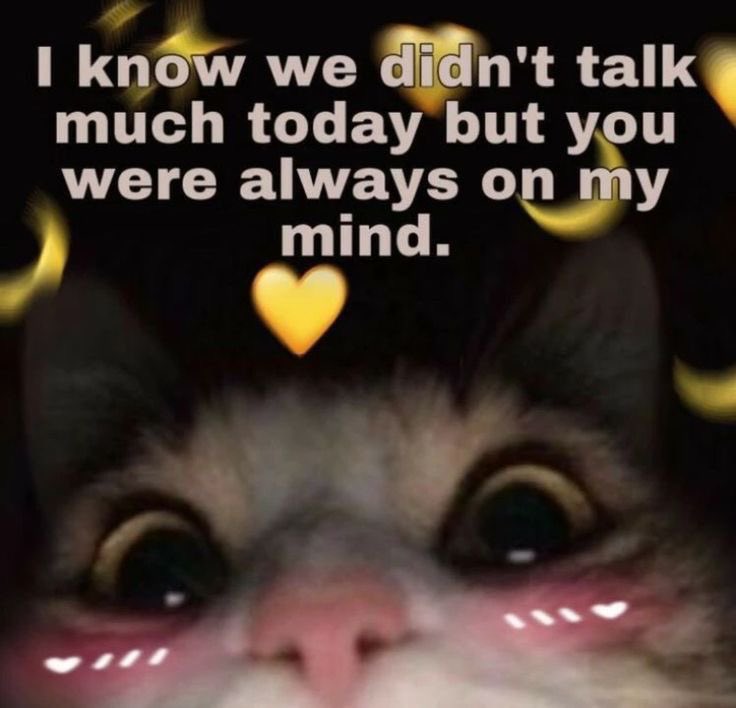 ♡ (@astralbaes) on Twitter photo 