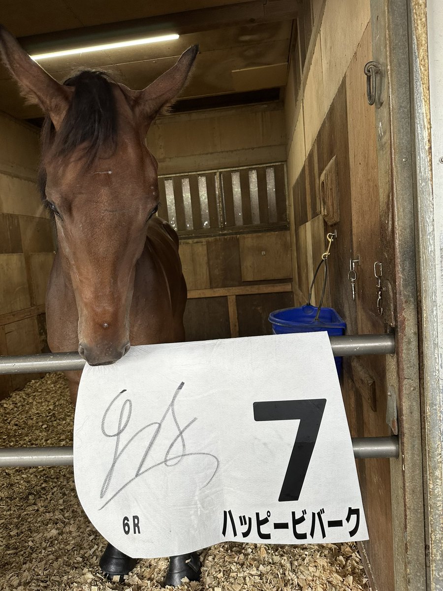 kakapachi1195's tweet photo. 日頃応援してくださっているファンの方々へ

先週の中山競馬の新馬戦を勝ったハッピービバークさんのレースゼッケンを、中村伊三美オーナーのご厚意によりプレゼントいたします。
横山和生Jのサイン付きです。

応募条件としまして
①このアカウントをフォロー
②この投稿をリポスト
③できればインスタグラムのアカウントもフォローしていただけると嬉しいです

10/6(日)締切で、当選された方にはDMをお送りいたします。

たくさんのご応募お待ちしております！
