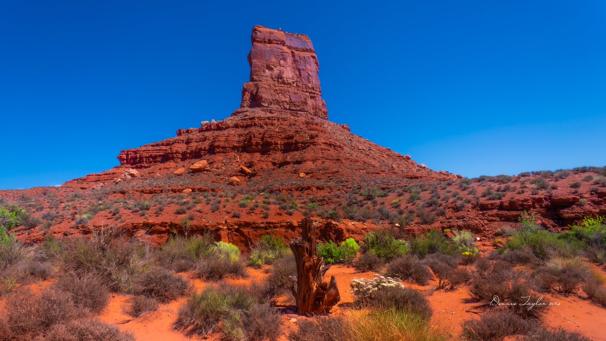 New Mexico Drive (@newmexicodrive) on Twitter photo Before the barrage of balloons you are about to witness from #albuquerque <a href="/balloonfiesta/">Balloon Fiesta</a> one more from #arizona #utah #usa #roadtrip #travel #navajo #monumentvalleynavajotribalpark Before the barrage of balloons you are about to witness from #albuquerque <a href="/balloonfiesta/">Balloon Fiesta</a> one more from #arizona #utah #usa #roadtrip #travel #navajo #monumentvalleynavajotribalpark