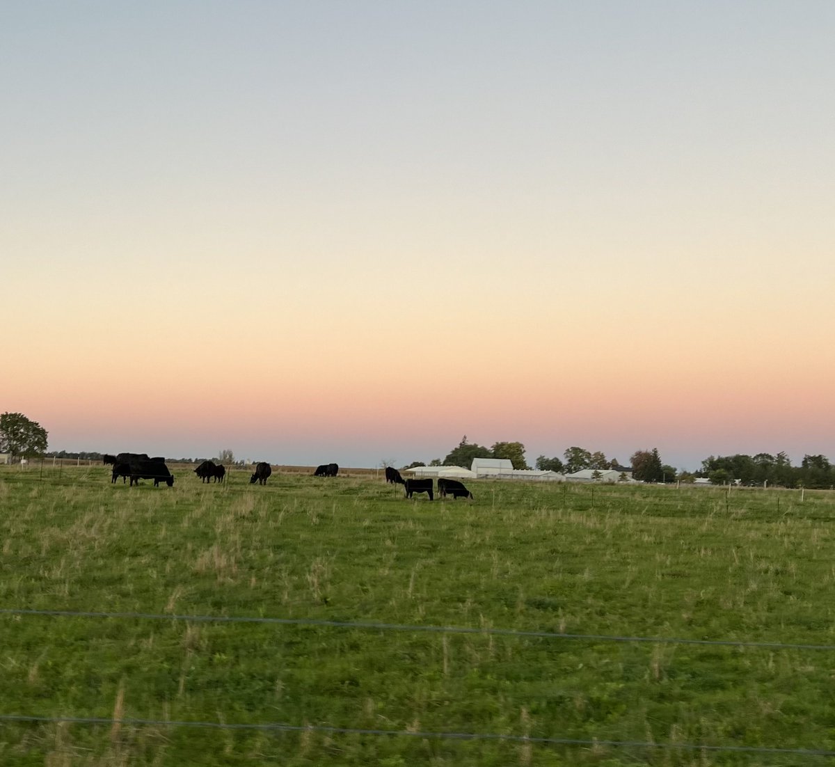 Beef Farmers of Ontario (@beeffarmerson) on Twitter photo Great to hear about the research being done at the Ontario Beef Research Centre at the Beef@Guelph Field Day! Interesting discussions on carb-loading soils, measuring pasture biomass, cover crops, methane emissions & rotational grazing. Thanks <a href="/BeefGuelph/">Beef@Guelph</a> team! Great to hear about the research being done at the Ontario Beef Research Centre at the Beef@Guelph Field Day! Interesting discussions on carb-loading soils, measuring pasture biomass, cover crops, methane emissions & rotational grazing. Thanks <a href="/BeefGuelph/">Beef@Guelph</a> team!