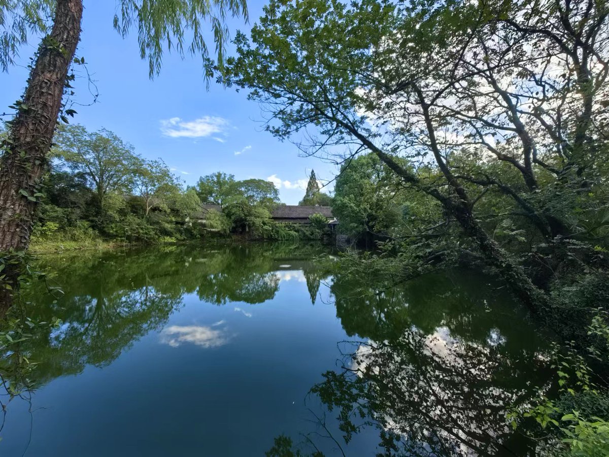 junfeng64661014's tweet photo. Xixi Wetland, Hangzhou https://t.co/uvj8bA572P