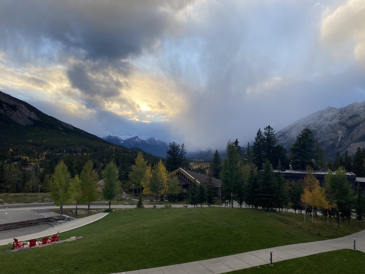 Poultry Industry Council tweet media