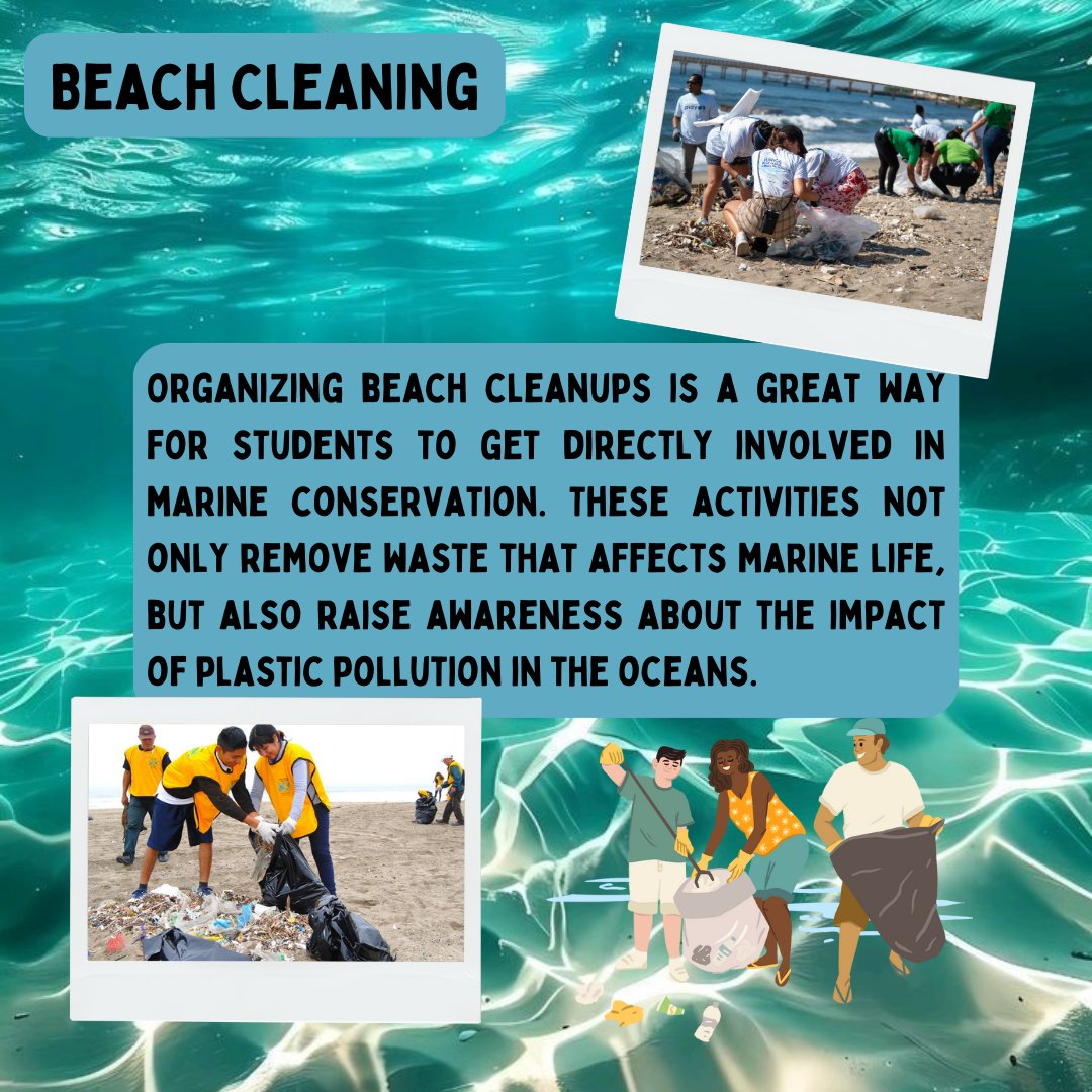 LetSaveOurOcean's tweet photo. 🌊 For a healthier ocean 🌍

Our oceans are vital to life on Earth and are in serious danger. Pollution and climate change threaten its balance. It is essential to act responsibly and take care of this invaluable resource. Let's protect our oceans! 🐟💙 https://t.co/8lk3fFBtJF