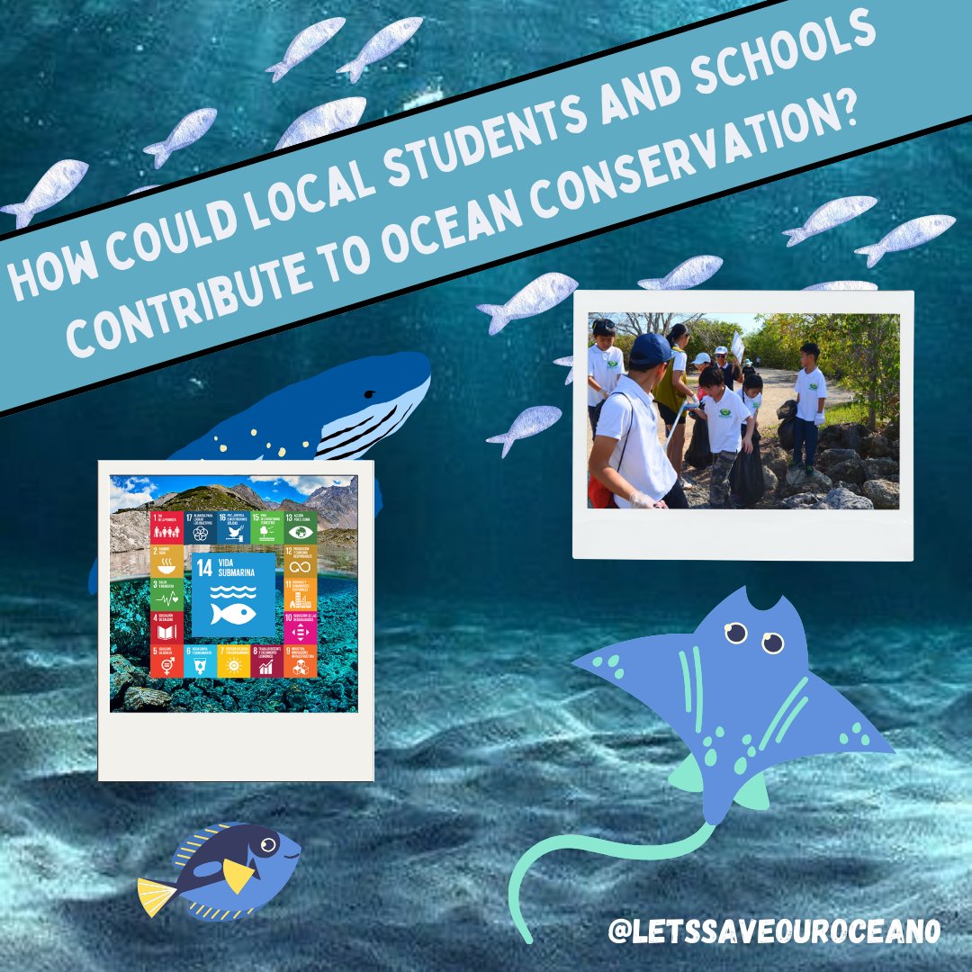 LetSaveOurOcean's tweet photo. 🌊 For a healthier ocean 🌍

Our oceans are vital to life on Earth and are in serious danger. Pollution and climate change threaten its balance. It is essential to act responsibly and take care of this invaluable resource. Let's protect our oceans! 🐟💙 https://t.co/8lk3fFBtJF