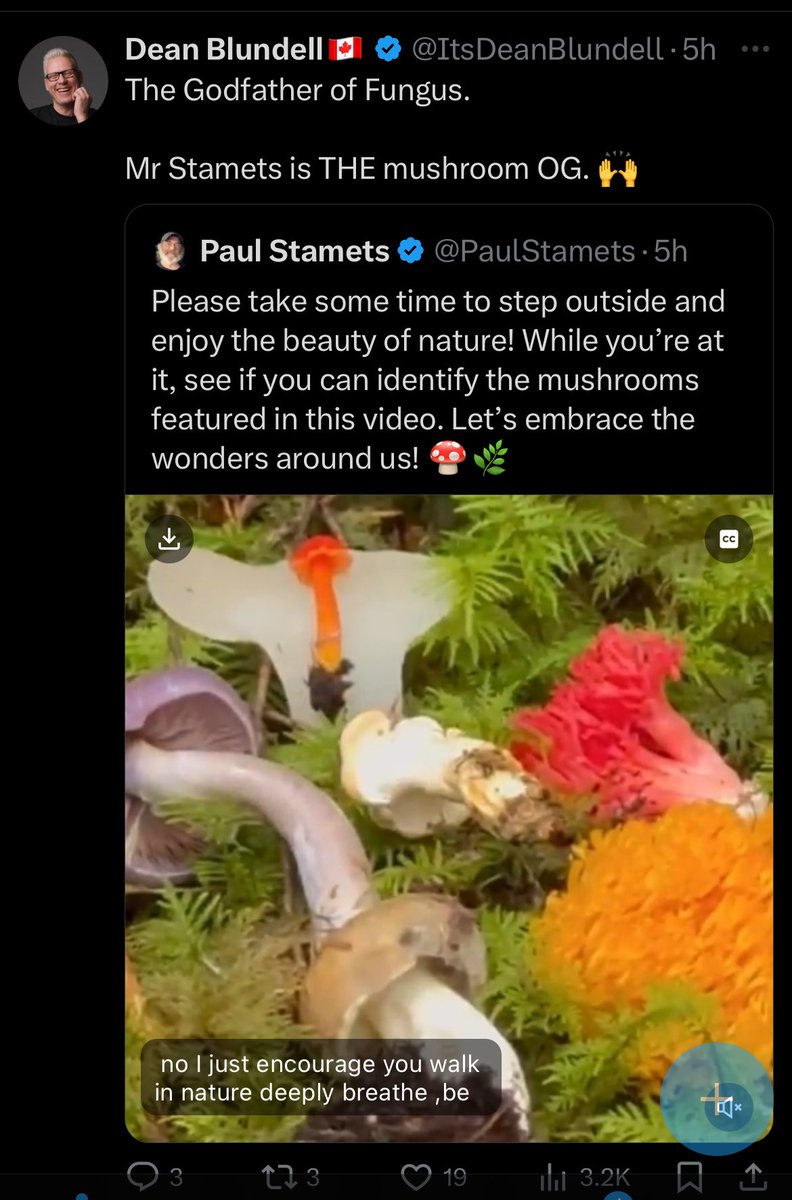 JamesFl43920690's tweet photo. You @ItsDeanBlundell  give props to a Man with a brain. Dare to dream Millhouse. #MemeOfTheDay https://t.co/OL6kiUKRc4