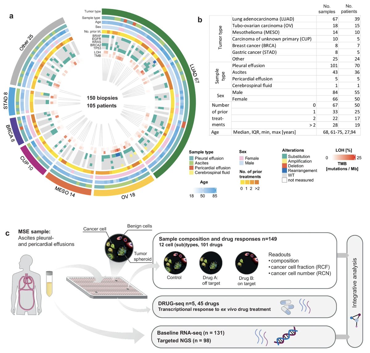DailyHealthcareAI (@aipulserx) on Twitter photo Molecular and functional landscape of malignant serous effusions for precision oncology <a href="/NatureMedicine/">Nature Medicine</a> <a href="/BerendSnijder/">Berend Snijder</a>
Personalized treatment for patients with advanced solid tumors critically depends on the deep characterization of tumor cells from patient biopsies. Here, we Molecular and functional landscape of malignant serous effusions for precision oncology <a href="/NatureMedicine/">Nature Medicine</a> <a href="/BerendSnijder/">Berend Snijder</a>
Personalized treatment for patients with advanced solid tumors critically depends on the deep characterization of tumor cells from patient biopsies. Here, we