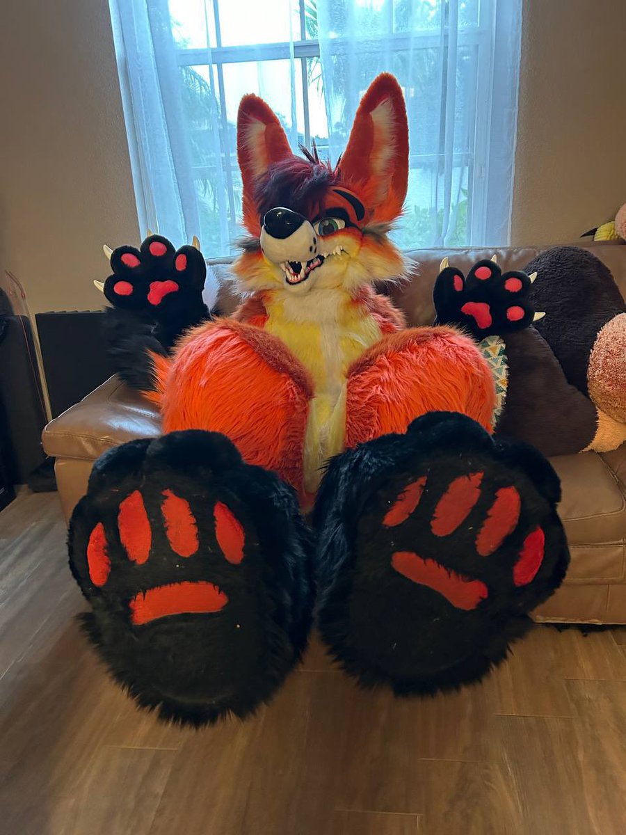 Purrfessor Zuka the Firefox. Jake P Loss🥊 tweet media