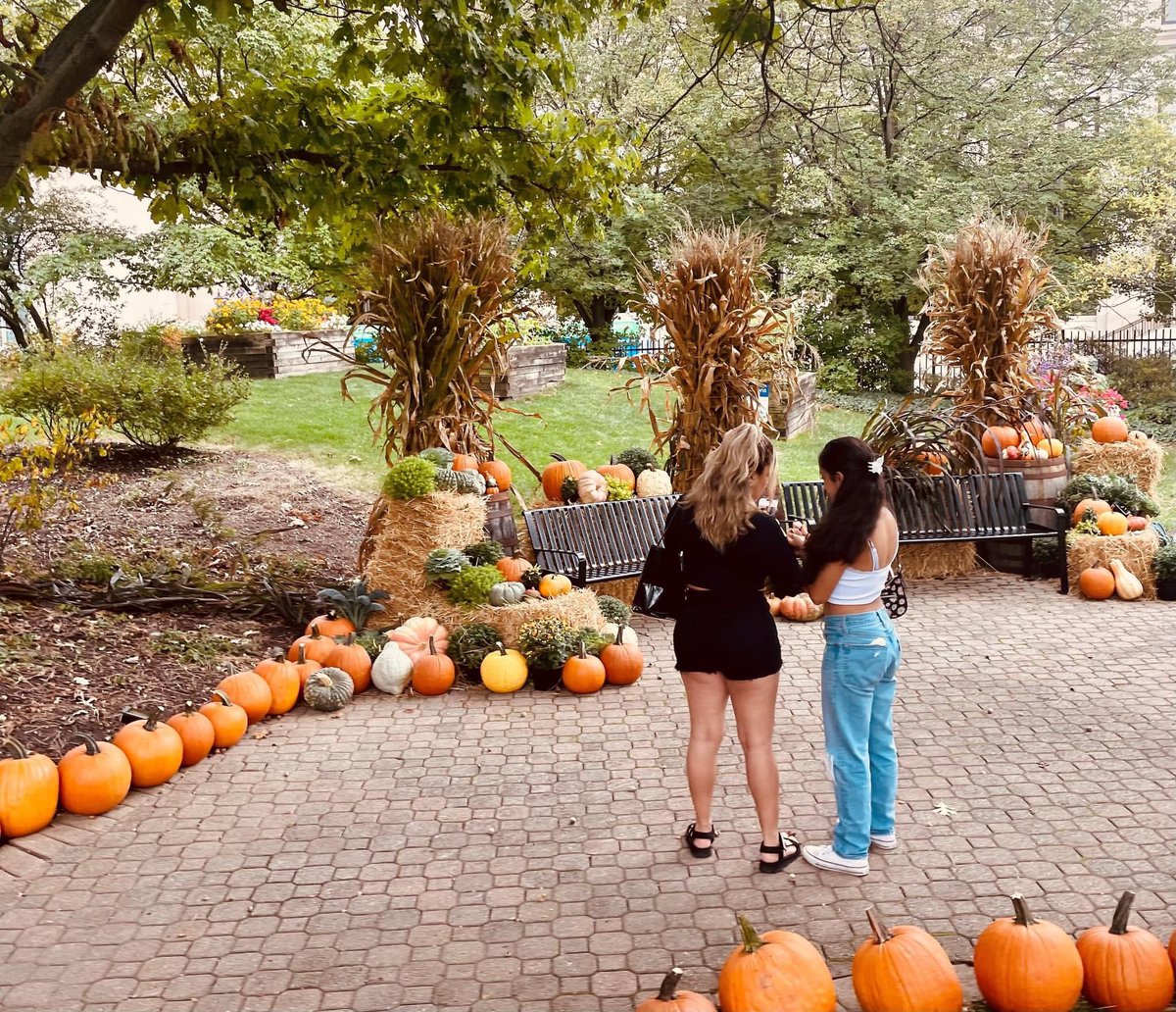 BConservatoryFW's tweet photo. 🎃The 𝗣𝘂𝗺𝗽𝗸𝗶𝗻 𝗣𝗮𝘁𝗵 𝗗𝗶𝘀𝗽𝗹𝗮𝘆 is now open through October 27th during public hours! A local favorite, this scenic outdoor display at the 𝗕𝗼𝘁𝗮𝗻𝗶𝗰𝗮𝗹 𝗖𝗼𝗻𝘀𝗲𝗿𝘃𝗮𝘁𝗼𝗿𝘆 is the perfect way to embrace the fall season 🌾

More Info: https://t.co/Qewk57VElp https://t.co/J2UlVwwOw3