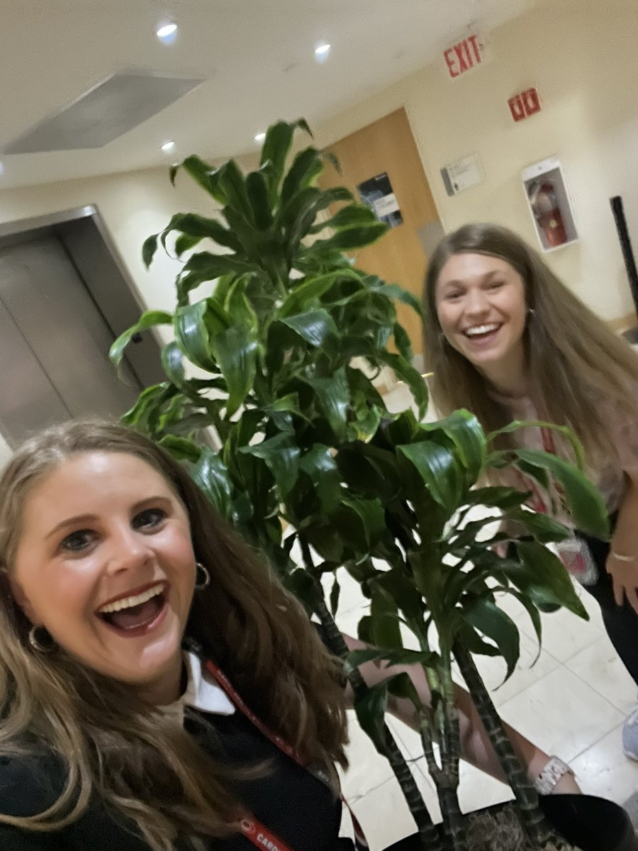 Sam Poulos Heinsohn tweet media