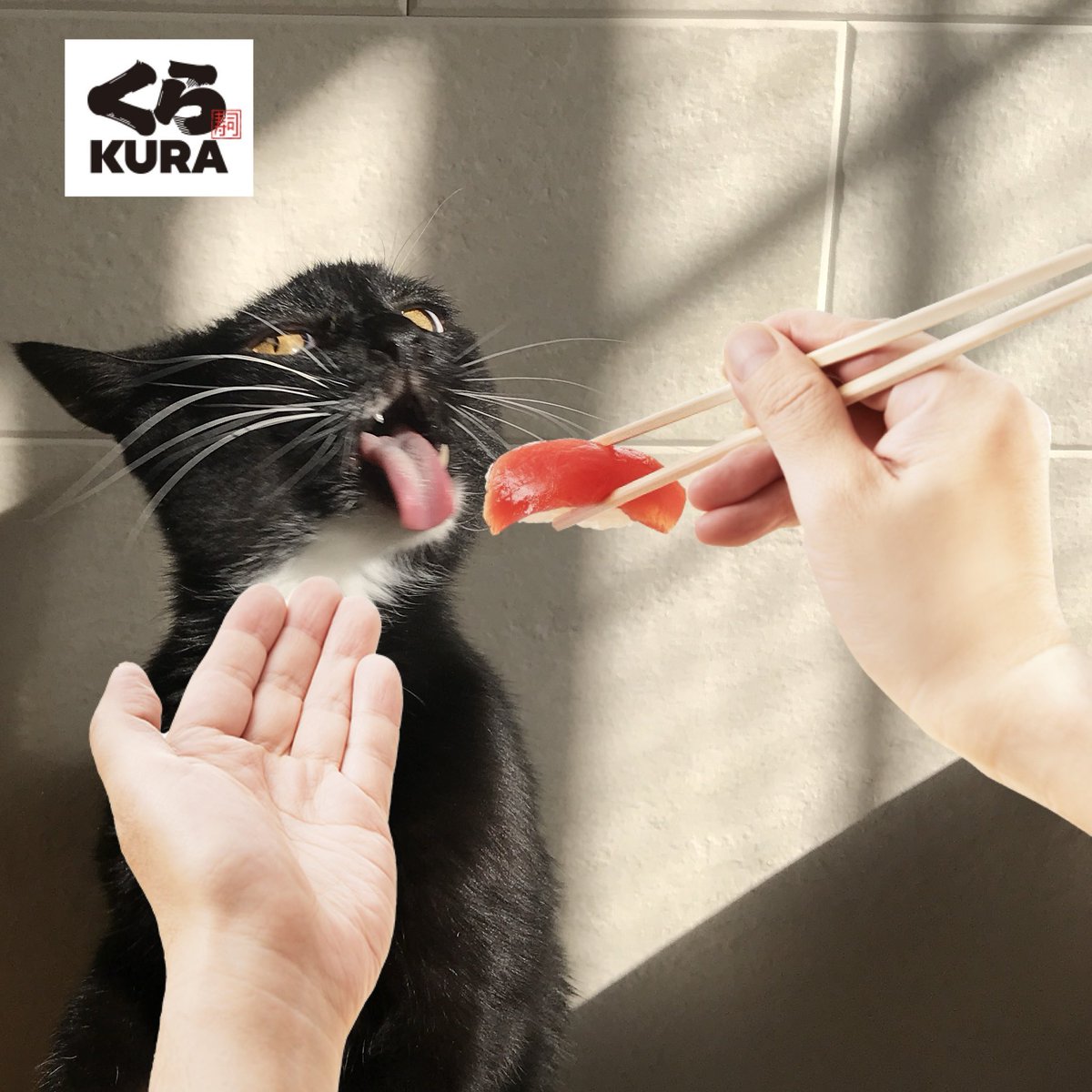 これで遊んでたら30分経ってた
#熱海MuddyCat #熱海 #BAR #猫