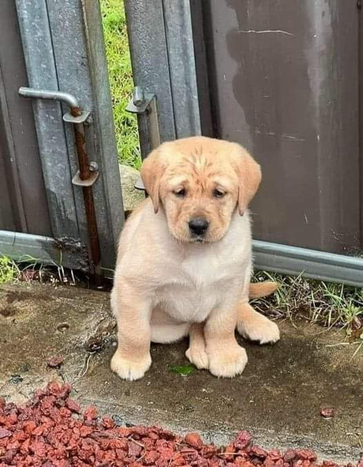 Today is my birthday but there are no wishes 🎉😔😔