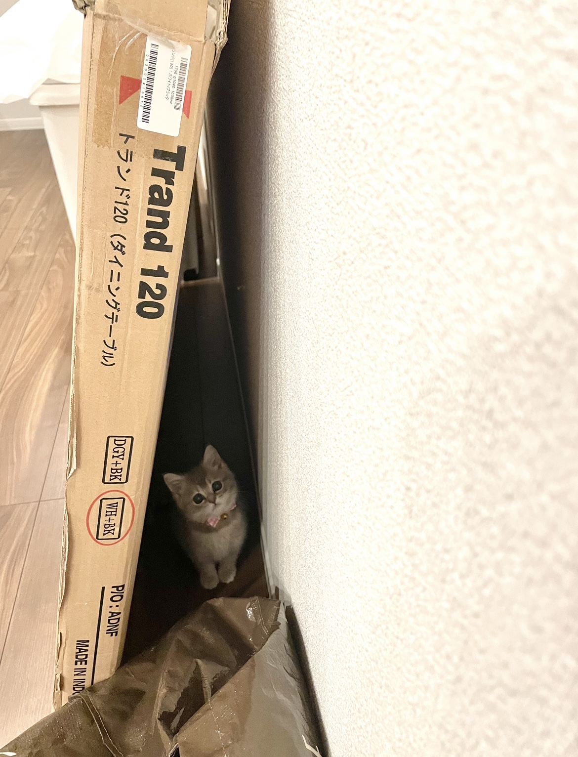 ♡おんぷ♡ onpu•♬•♫•。エンジ好き (@onpu_chan) / X