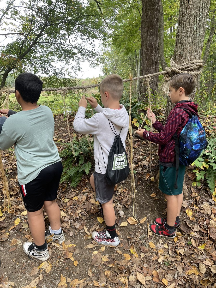 Shalyn Fry tweet media