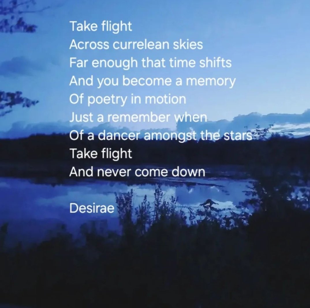 D_C_LeeWrites's tweet photo. #poetry #flight #highnotes #myphotography https://t.co/Qft7F6HpoE