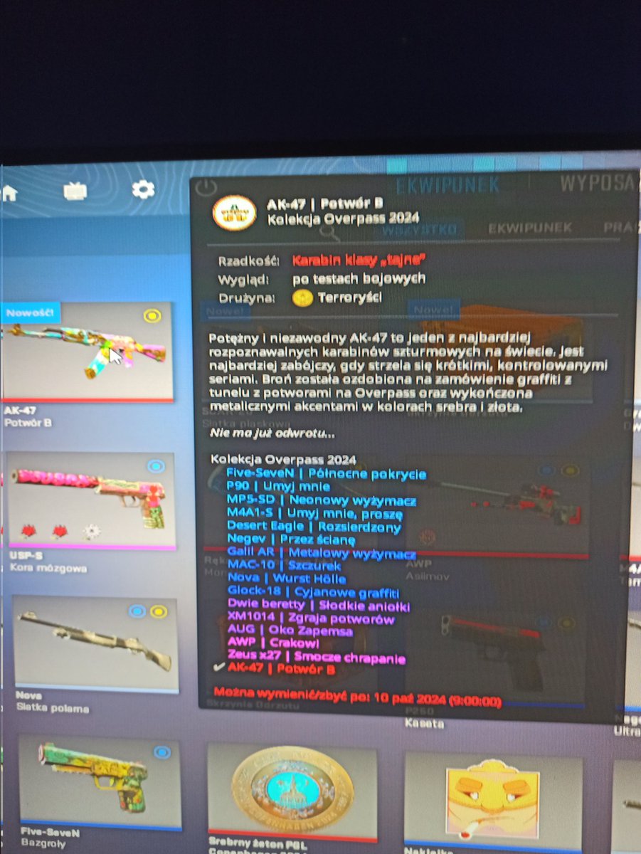 Orientuje się ktoś po ile może to chodzić