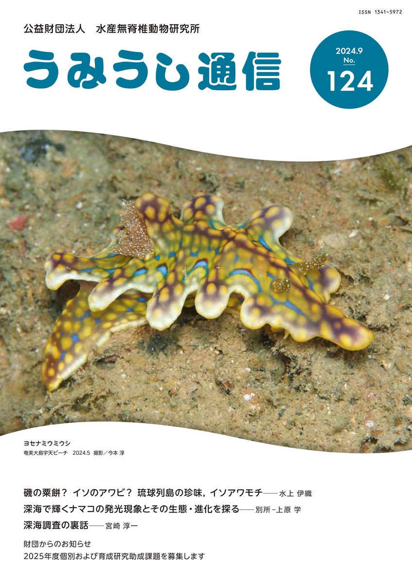 公財)水産無脊椎動物研究所 в X: „うみうし通信No.124が発行され 公財)水産無脊椎動物研究所 в X: „うみうし通信No.124が発行され