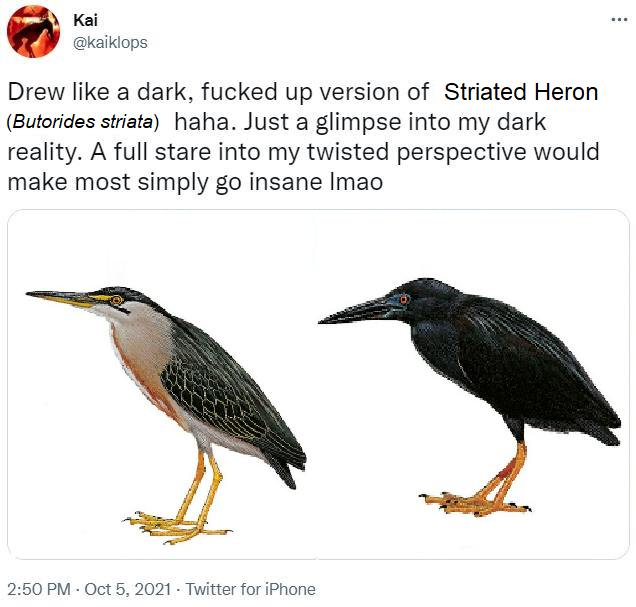 #SplitLavaHeron