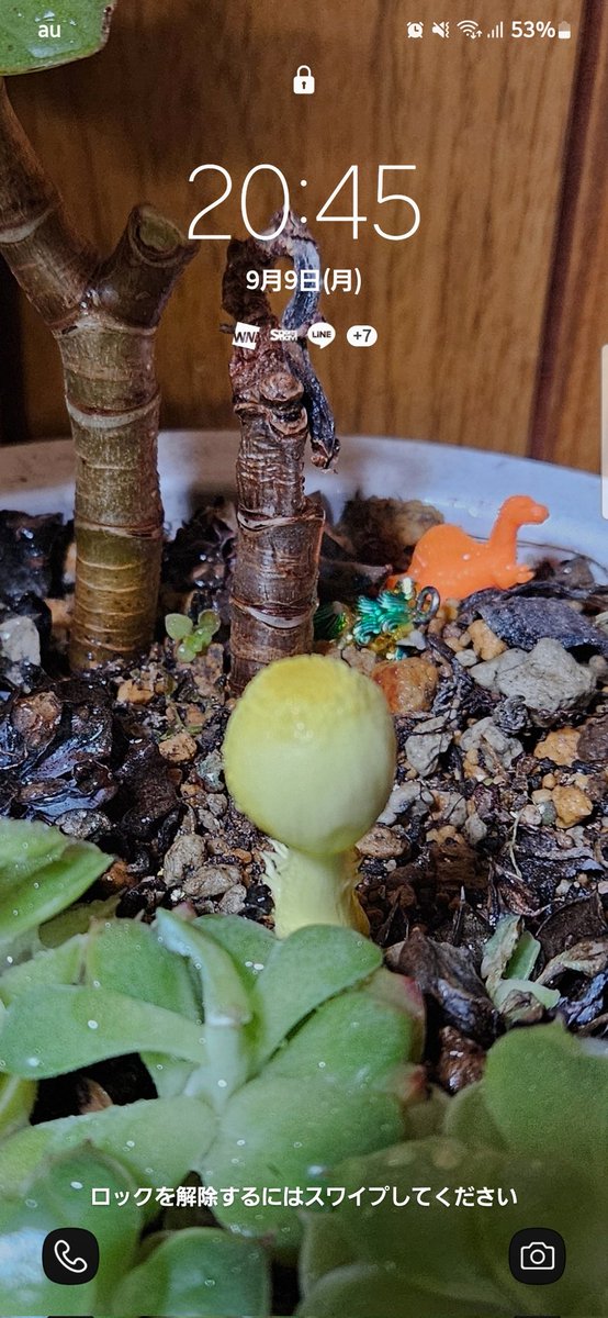 皆さん今日も一日お疲れ様でした😊
皆さんの温かいお祝いの言葉ありがとうございます👍
また1年楽しく頑張れそうです😁
ありがとうございます🎊