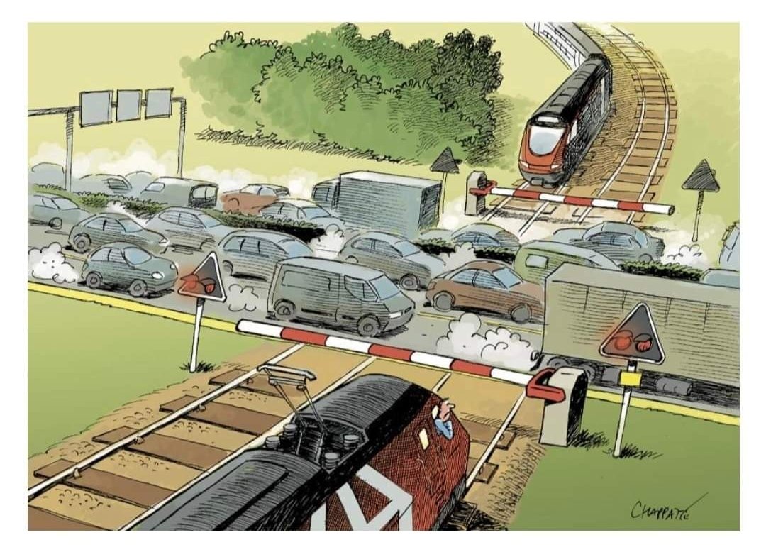 Manuel C. Widmer 🐏🐳 tweet media