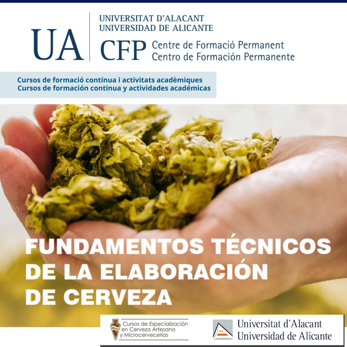 🍺✨ ¿Apasionado por la cerveza artesana? ¡Este curso es para ti! Aprende los Fundamentos Técnicos de la Elaboración de Cerveza 🍻 y domina los secretos de una producción artesanal reproducible 👩‍🔬👨‍🔬. 

🗓️ Fechas: 17/10/2024 - 31/03/2025
🕓 Horario: Jueves 17:30 - 21:30 / Viernes