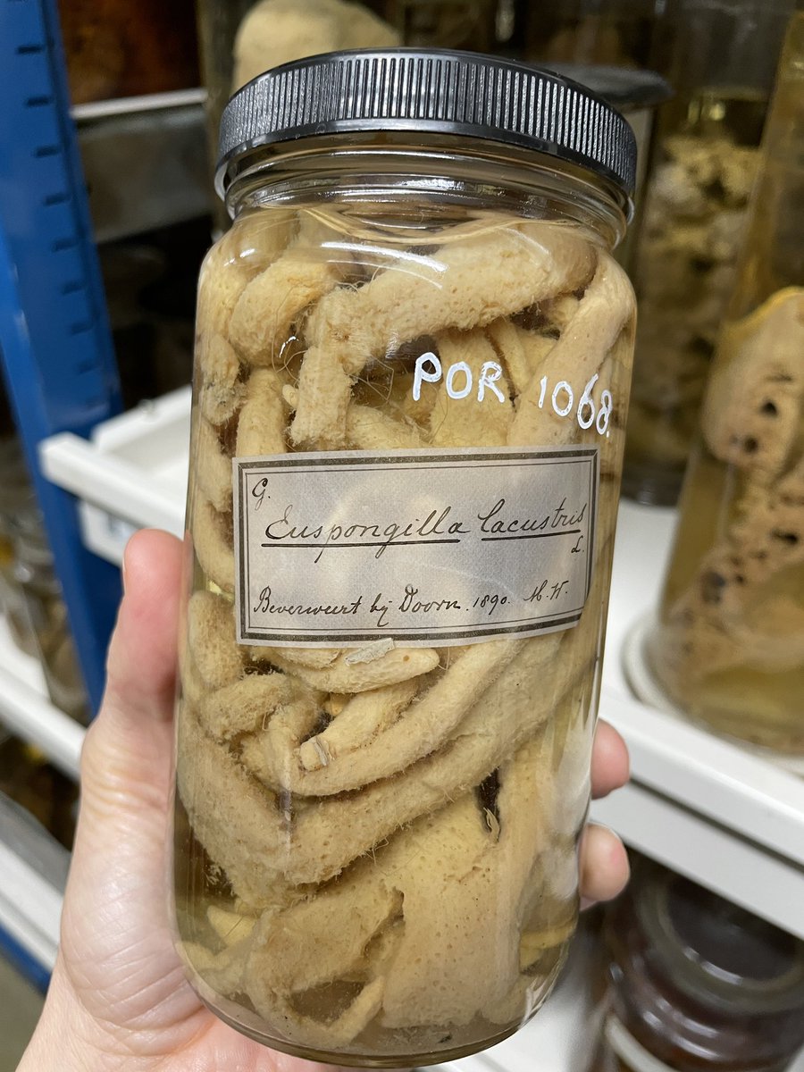 nicole de voogd tweet media