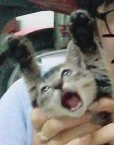 _AmbissionCorp_'s tweet photo. el siguiente video he de admitir que mejore en el guión y estoy bien emocionado por el resultado OWO 💜 https://t.co/OT4yZKq24Z